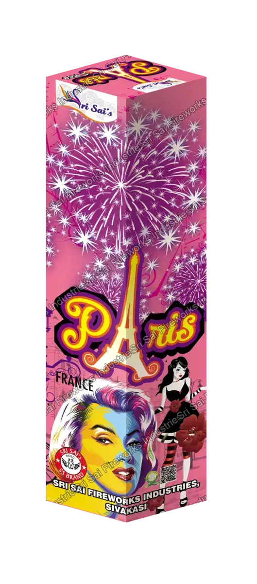 PARIS FRANCE (7 STEP FUNCTION)