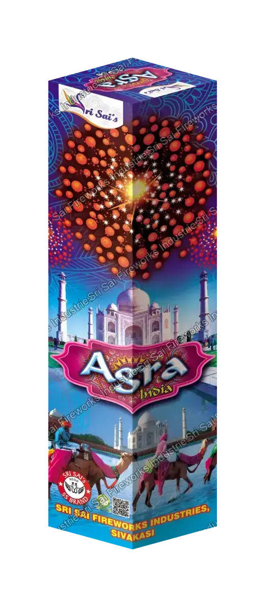AGRA INDIA (7 STEP FUNCTION)