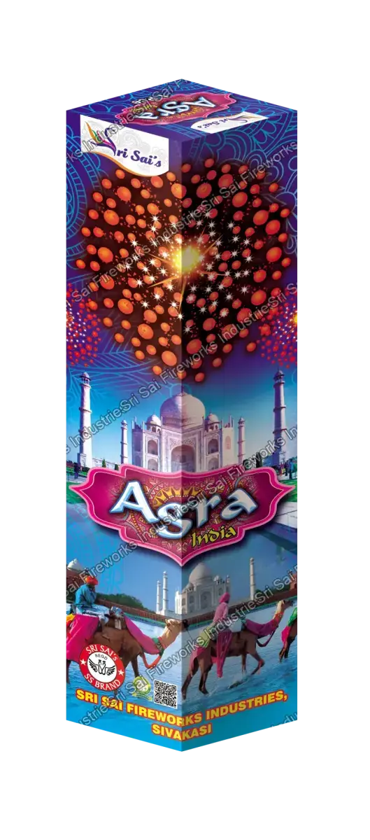 AGRA INDIA (7 STEP FUNCTION)